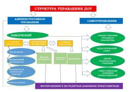 Структура административного управления ДОУ